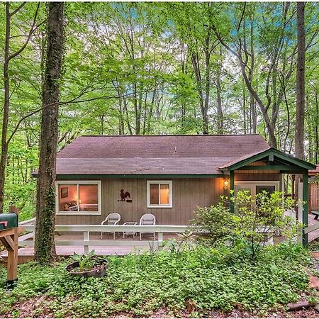 فيلا Smoky Mountain Treehouse ماجي فالي المظهر الخارجي الصورة